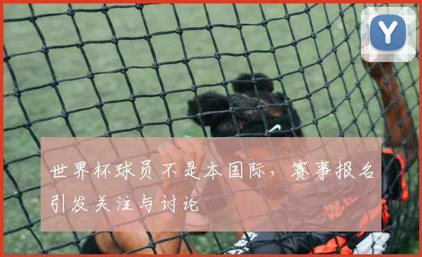 世界杯球员不是本国际，赛事报名引发关注与讨论