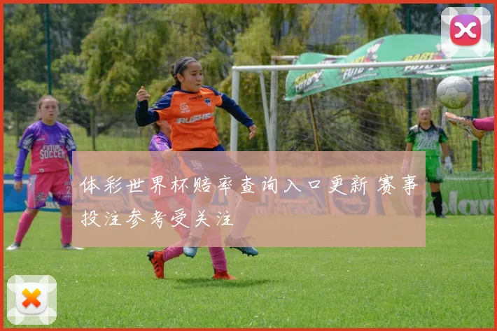 体彩世界杯赔率查询入口更新 赛事投注参考受关注